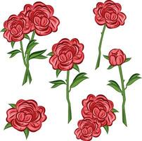 Vector stock flowers illustration, Red peony on a white background. Peonis. Delicate petals and green leaves. Template for a postcard. On a white background.