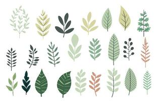 green leaf object element set. vector illustration for postcard,sticker