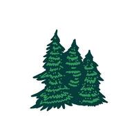Cartoon of Pine Evergreen Fir Hemlock Spruce Conifer Cedar Coniferous Cypress Larch Trees Forest vector