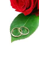 rings with rose photo