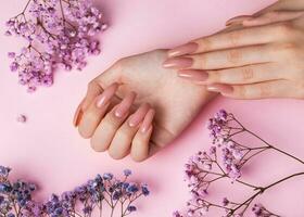 Female hands with pink nail design  hold gypsophila flowers. photo