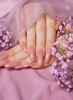 hembra manos con rosado uña diseño sostener Gypsophila flores foto