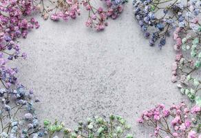 Colored gypsophila flowers on concrete background photo