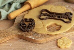 Preparing homemade healthy dog treats. photo