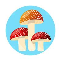 Group of Fly agaric with red cap mushrooms and white dots vector illustration