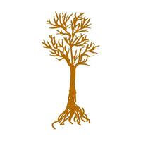 un árbol sin hojas con raíces vector
