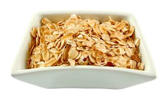 oats in bowl photo