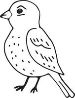 garabatear pájaro en un mano dibujado ilustración para niños colorante vector