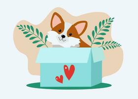 Cute Dog in a box. Cartoon Puppy Hearts, Valentine's Day card design. Cheerful pet, Corgi breed. Vector illustration. Background white, isolated.