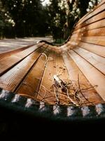 Closeup of the autumn bench in park photo