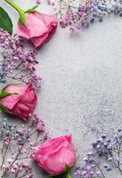Colored gypsophila flowers and pink roses on concrete background photo