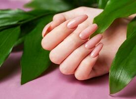 Female hands with pink nail design  hold green leaves photo