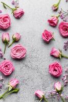 Colored gypsophila flowers and pink roses on concrete background photo