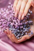 Female hands with pink nail design  hold gypsophila flowers. photo