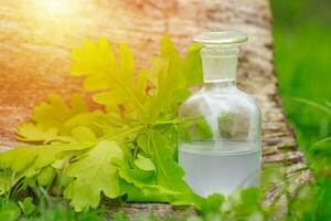 Oak and tincture of oak in a white bottle with a cork on the grass. A medicine bottle next to the oak leaves. Medical preparations from plants. Preparation Medicinal plants. photo