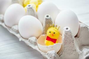 un pequeño pollo en un roto cáscara cerca todo blanco pollo huevos. Pascua de Resurrección es el concepto de soledad. Pascua de Resurrección huevos en huevo caja de cartón. foto