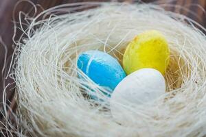 Two eggs of the color of the Ukrainian flag are yellow and blue and a white egg in the nest. The concept of an abandoned home of Ukraine for the Easter holiday. photo