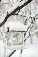 pájaro alimentador en el invierno bosque. pájaro alimentador en el invierno bosque. foto