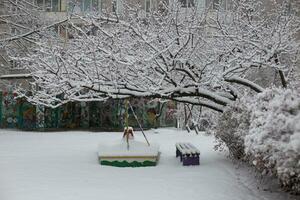 Snowy winter in the city. Snowy landscape in the park. photo