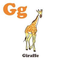 jirafa alfabeto dibujos animados personaje para niños vector