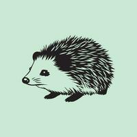 Hedgehog Vector Art, Icons, and Graphics