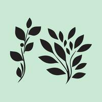 Vector illustration of floral design element. Black silhouette on light green background.