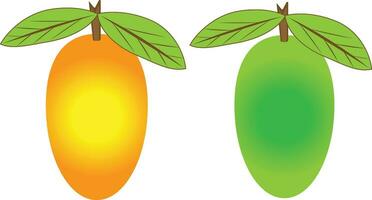 Fruits in cartoon style. Fruits vector art.