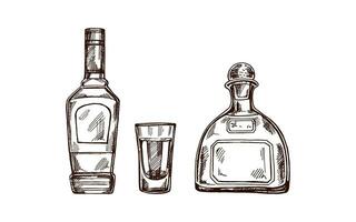 Hand-drawn bottles of tequila and shot glass with tequila. Design element for the menu of bars and in engraving style. Mexican, Latin America. vector