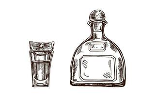 dibujado a mano botella de tequila y Disparo vaso con tequila con un rebanada de Lima. diseño elemento para el menú de barras y en grabado estilo. mexicano, latín America. vector