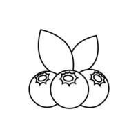 Blueberry icon vector. Fruits illustration sign. Vitamins symbol. Vegetarian logo. Food mark. vector
