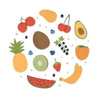 Organic tropical fruit and berries collection in round circle. Set of fresh local farm product. Healthy vegetarian food poster. Different sweet berry. Flat simple colored doodle vector illustration.