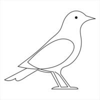 Continuous one line art drawing hummingbird hand drawn vector illustration of style