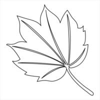 Continuous single line art drawing maple leaf hand drawn minimalist and outline vector art illustration