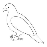 Continuous single line art drawing pet pigeon hand drawn in doodle style sketch stock illustration vector
