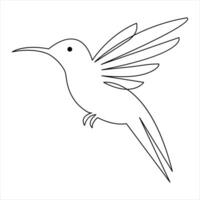 Continuous one line art drawing hummingbird hand drawn vector illustration of style