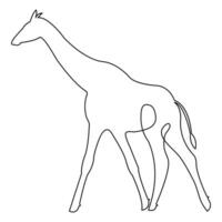 Single line hand drawing giraffe continuous art print and minimalistic outline vector art illustration