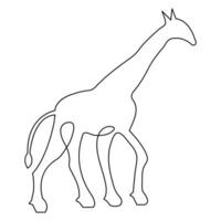 Single line hand drawing giraffe continuous art print and minimalistic outline vector art illustration