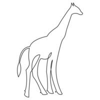 Single line hand drawing giraffe continuous art print and minimalistic outline vector art illustration