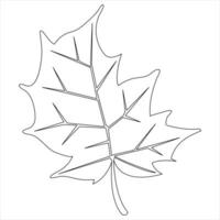 Continuous single line art drawing maple leaf hand drawn minimalist and outline vector art illustration