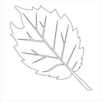 Continuous one line art drawing maple leaf botanical decorative symbol outline vector art illustration