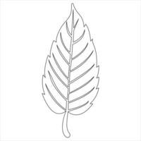 Continuous one line art drawing maple leaf botanical decorative symbol outline vector art illustration