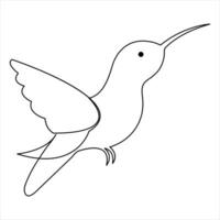 Continuous one line art drawing hummingbird hand drawn vector illustration of style