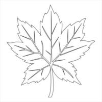 Continuous one line art drawing maple leaf botanical decorative symbol outline vector art illustration