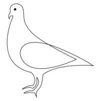 Continuous one line art drawing pet pigeon outline vector illustration and minimalist design