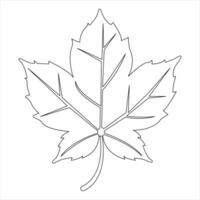 Continuous single line art drawing maple leaf hand drawn minimalist and outline vector art illustration