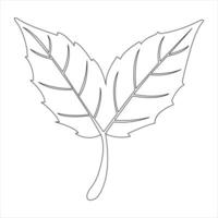 Continuous one line art drawing maple leaf botanical decorative symbol outline vector art illustration