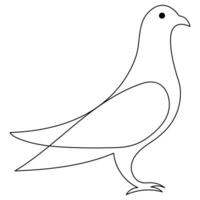 Continuous single line art drawing pet pigeon hand drawn in doodle style sketch stock illustration vector