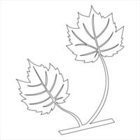 Continuous single line art drawing maple leaf hand drawn minimalist and outline vector art illustration