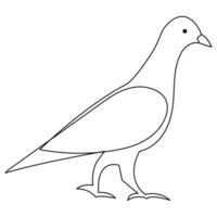 Continuous one line art drawing pet pigeon outline vector illustration and minimalist design