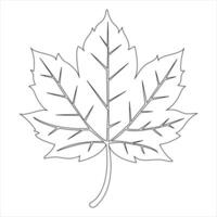 Continuous single line art drawing maple leaf hand drawn minimalist and outline vector art illustration